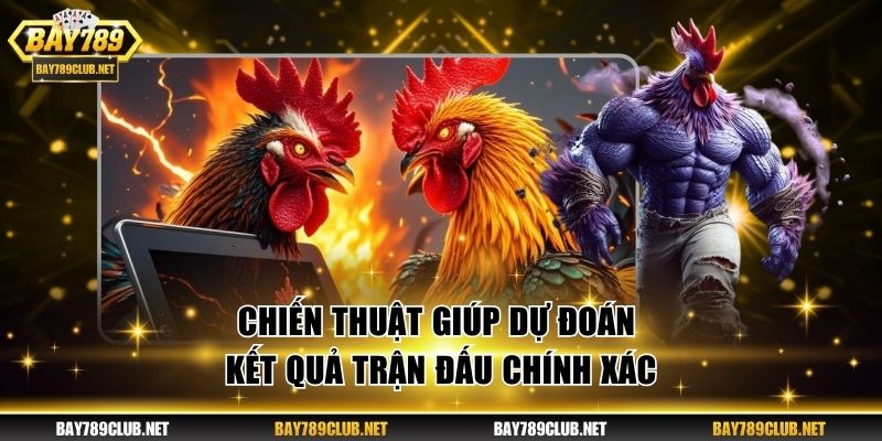 Đá Gà Bay789 - Cược Kịch Tính Và Nhận Thưởng Hăng Say Chiến thuật hay giúp dự đoán kết quả trận đấu chính xác
