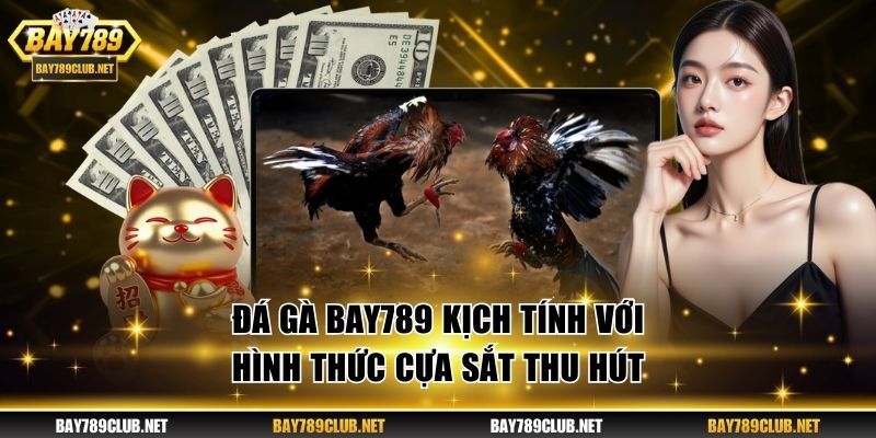 Đá Gà Bay789 - Cược Kịch Tính Và Nhận Thưởng Hăng Say Đá gà BAY789 kịch tính với hình thức cựa sắt thu hút